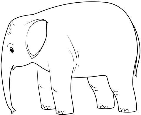 Baby Elephant Coloring Page